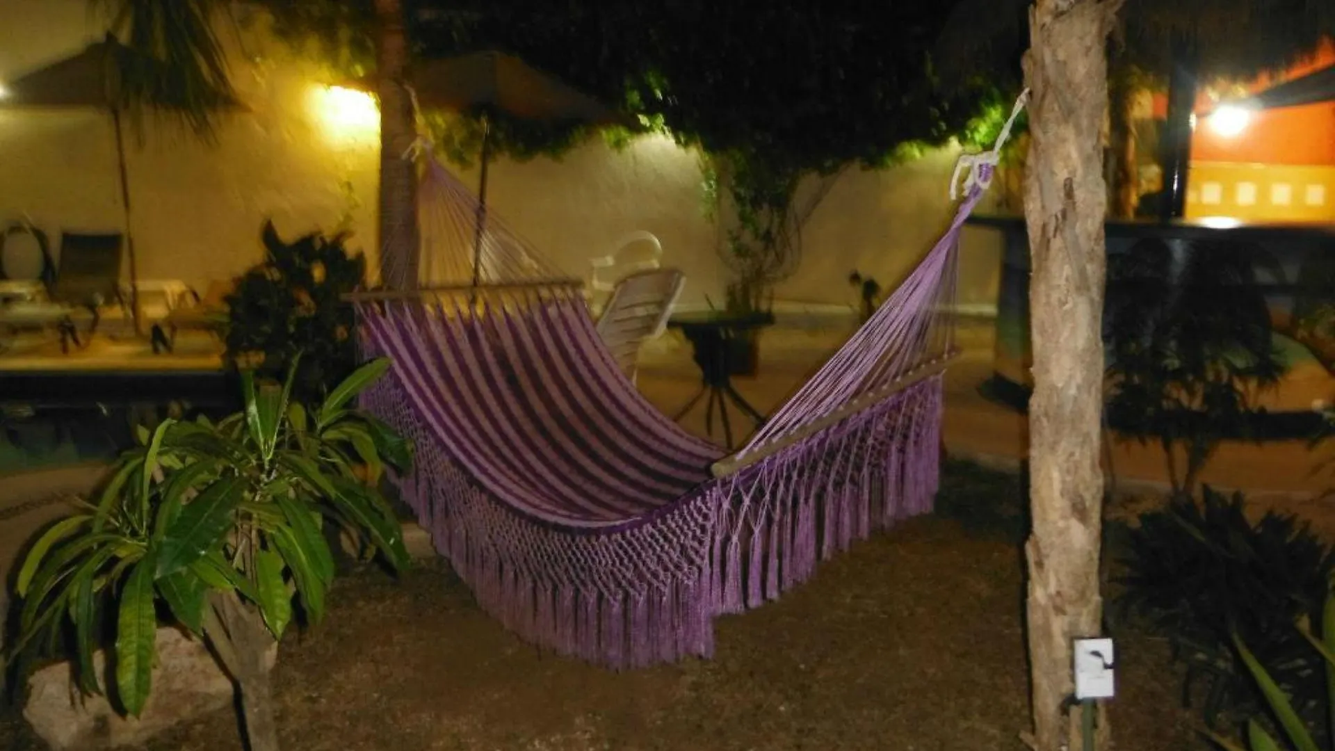 El Acuario Hotel Playa del Carmen