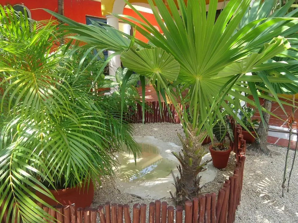 El Acuario Hotel Playa del Carmen