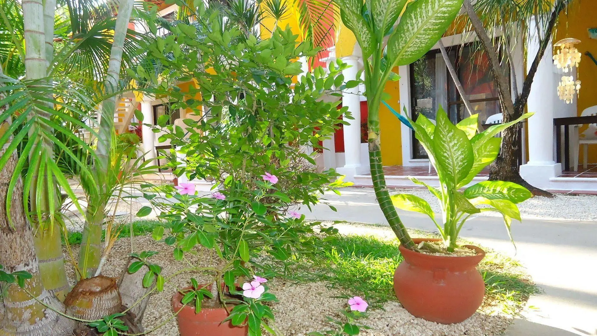 El Acuario Hotel Playa del Carmen